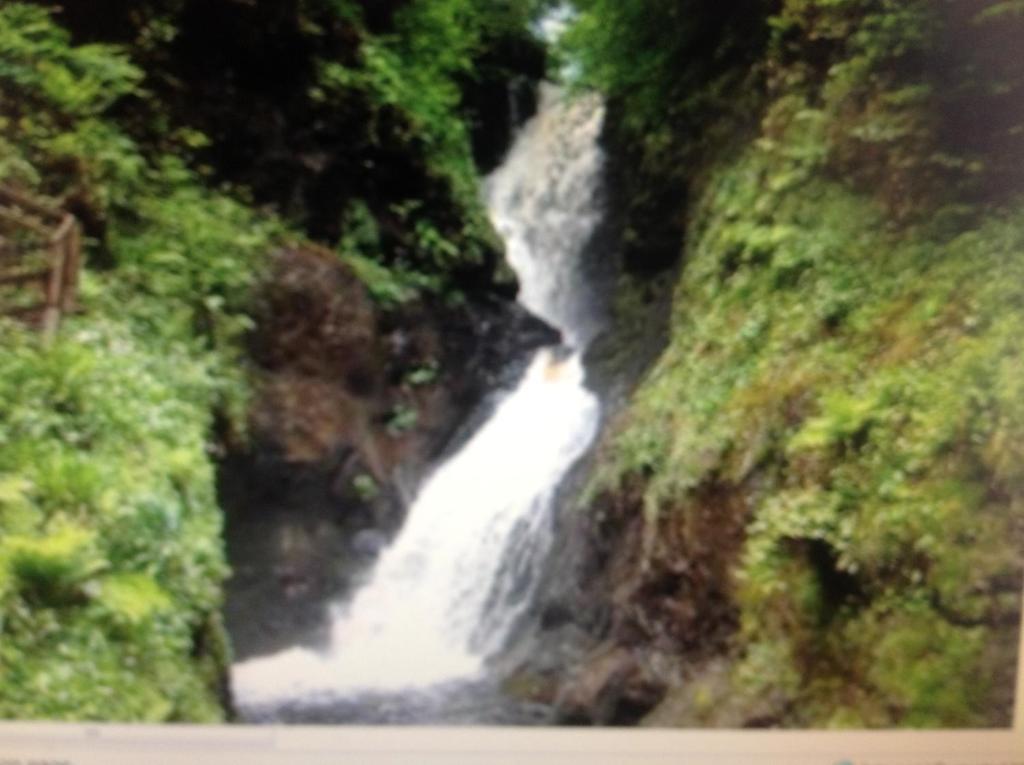 Garron View Bed & Breakfast Cushendall Bagian luar foto